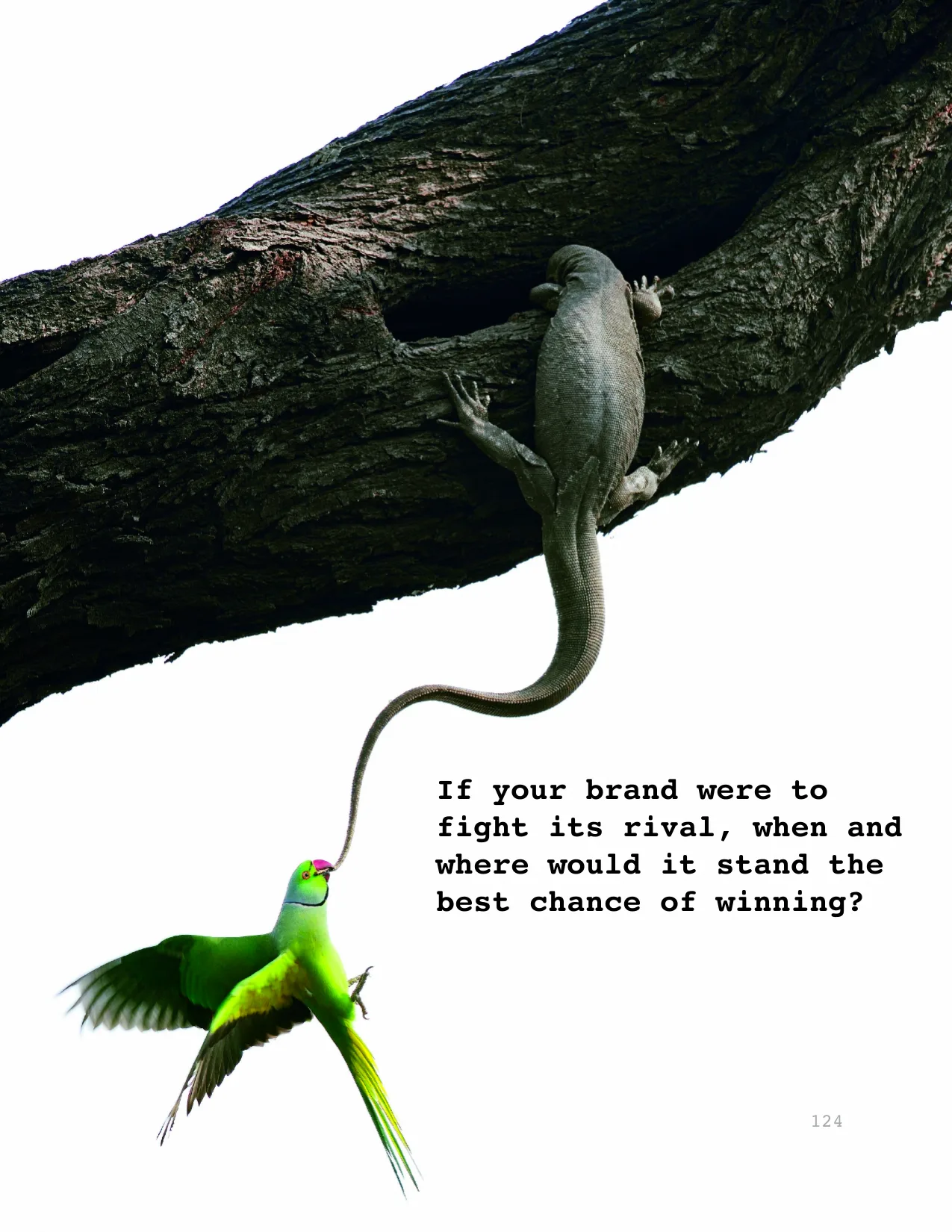 If your brand were to 
fight its rival, when and 
where would it stand the 
best chance of winning?